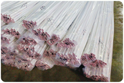 ������������ ���������������� �������������� ������ � ������